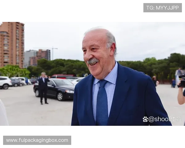 博斯克回顾西班牙黄金时代 点评小法未登场最为心痛 博斯克回顾西班牙黄金时代 点评小法未登场最为心痛